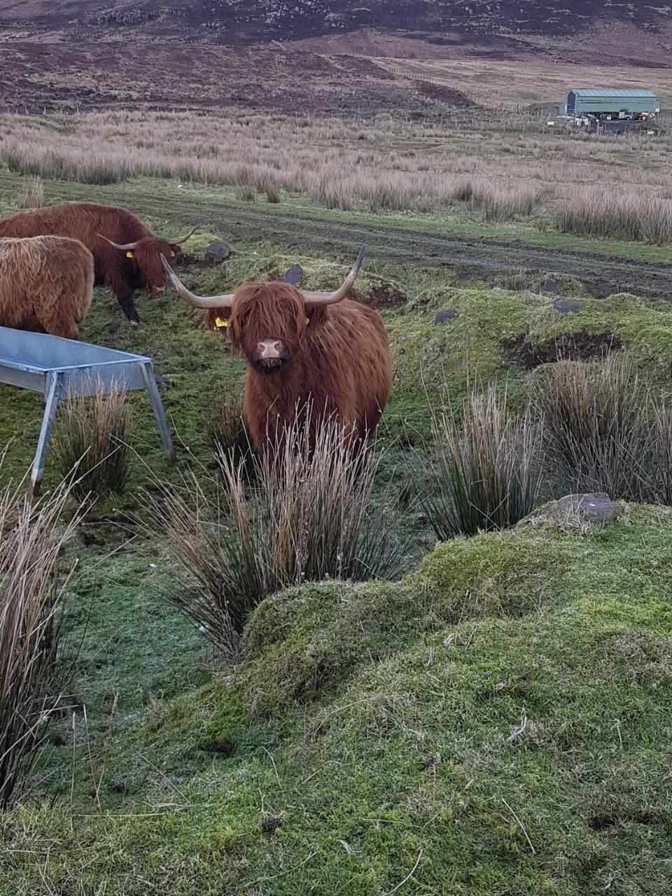 Trotternish B&B Kingsburgh Ngoại thất bức ảnh